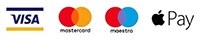 loghi visa, mastercard, maestro, apple pay